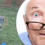 A furcsa lelet a fa mellett értetlenül hagyta a szomszédot: