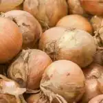 hogyan-kell-helyesen-sutni-a-hagymat-hogy-ne-legyen-keseru.jpg