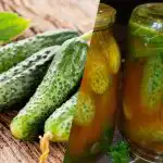 Hogyan zárjuk be az uborkát a chili ketchupban télen: 3