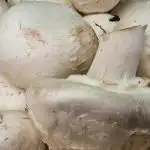 Miért nem moshatod meg a gombát grillezés előtt, ha kérget akarsz: tippek háziasszonyoknak miert-nem-moshatod-meg-a-gombat-grillezes-elott-ha-kerget.jpg