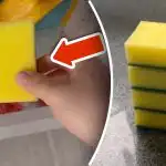 Miért tegyen szivacsot a fagyasztóba: egy egyszerű trükk megszünteti a hatalmas problémát Miért tegyen szivacsot a fagyasztóba: egy egyszerű trükk megszünteti a