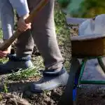 Vetési naptár 2025 szeptemberére: mit kell tenni a kertben és