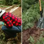 Hogyan vehetjük észre, hogy kertünk talaja "haldoklik": öt figyelmeztető jel