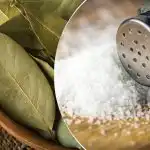 Miért tegyünk babérlevelet a citromba: egy váratlan, de hatékony életmódtrükk Miért tegyünk babérlevelet a citromba: egy váratlan, de hatékony életmódtrükk