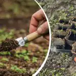 Vetési naptár 2026 áprilisára: mely napok segítik a rekordtermést